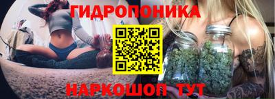 Альфа ПВП Лесосибирск
