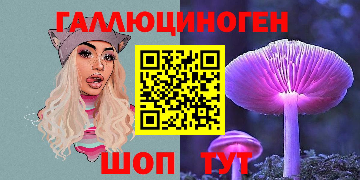 Псилоцибиновые грибы Cubensis  закладка  Озёры  Вход с VPN 